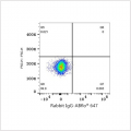 ABflo® 647 Rabbit anti-Human CD172b mAb (100 T)