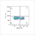 PE Rabbit anti-Mouse CD24 mAb (100 T)
