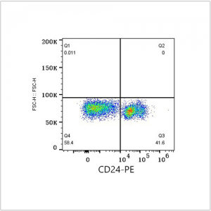 PE Rabbit anti-Mouse CD24 mAb (100 T)