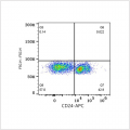 APC Rabbit anti-Mouse CD24 mAb (100 T)
