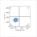 APC Rabbit anti-Human CD10 mAb (100 T)