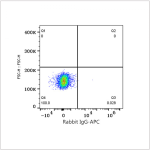 APC Rabbit anti-Human CD10 mAb (100 T)