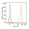 PE Rabbit anti-Human CD27 mAb (100 T)