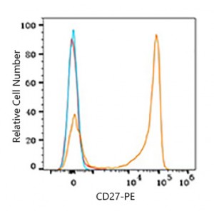 PE Rabbit anti-Human CD27 mAb (100 T)