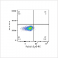 PE Rabbit anti-Human Neuropilin-2/NRP2 mAb (100 T)