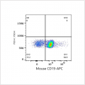 APC Rabbit anti-Mouse CD19  mAb (100 T)