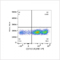 PE Rabbit anti-Human CD161 mAb (100 T)