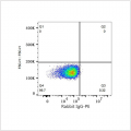 PE Rabbit anti-Mouse CD14 mAb (100 T)