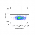 PE Rabbit anti-Mouse CCR6/CD196 mAb (100 T)