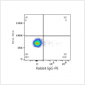 PE Rabbit anti-Mouse CD44 mAb (100 T)