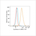 ABflo® 647 Rabbit anti-Human Syndecan 4 mAb (100 T)