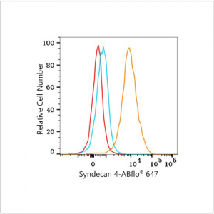 ABflo® 647 Rabbit anti-Human Syndecan 4 mAb (100 T)