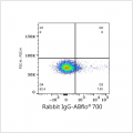 ABflo® 700 Rabbit anti-Mouse CD44 mAb (100 T)
