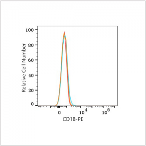 PE Rabbit anti-Human CD1B mAb (100 T)