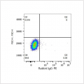 PE Rabbit anti-Mouse CD34 mAb (100 T)