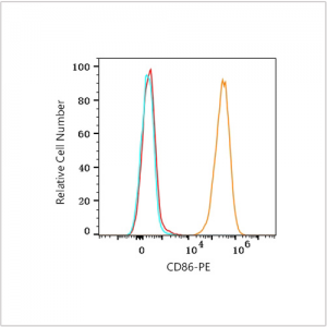 PE Rabbit anti-Human CD86 mAb (100 T)