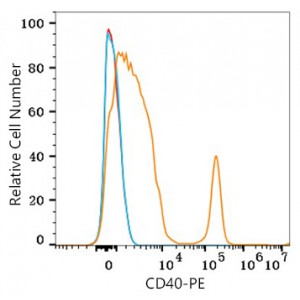 PE Rabbit anti-Human CD40 mAb (100 T)