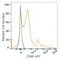 APC Rabbit anti-Human CD40 mAb (100 T)