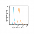 APC Rabbit anti-Human Glypican 3 (GPC3) mAb (100 T)