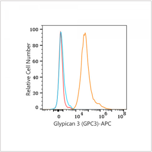APC Rabbit anti-Human Glypican 3 (GPC3) mAb (100 T)