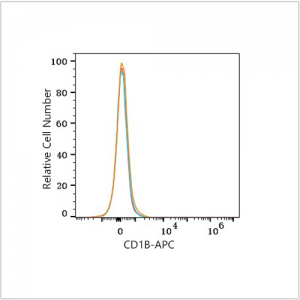 APC Rabbit anti-Human CD1B mAb (100 T)