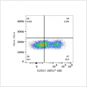 ABflo® 488 Rabbit anti-Human KLRG1 PolymAb® (100 T)