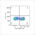 ABflo® 450 Rabbit anti-Mouse CD24 mAb (100 T)