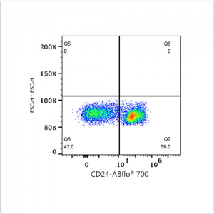 ABflo® 700 Rabbit anti-Mouse CD24 mAb (100 T)