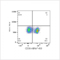 ABflo® 450 Rabbit anti-Mouse CD38 mAb (100 T)