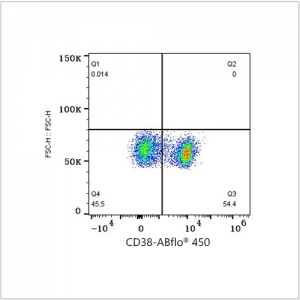 ABflo® 450 Rabbit anti-Mouse CD38 mAb (100 T)