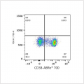 ABflo® 700 Rabbit anti-Mouse CD38 mAb (100 T)