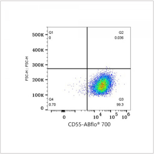ABflo® 700 Rabbit anti-Human CD55 mAb (100 T)