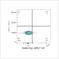 ABflo® 647 Rabbit anti-Human TLR1 mAb (100 T)