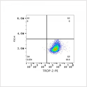 PE Rabbit anti-Human TROP-2 mAb (100 T)