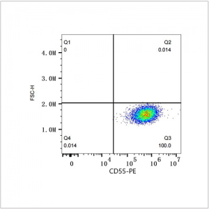 PE Rabbit anti-Human CD55 mAb (100 T)