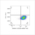 ABflo® 450 Rabbit anti-Human CD226/DNAM-1 mAb (100 T)