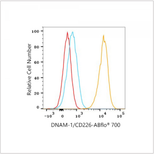 ABflo® 700 Rabbit anti-Human CD226/DNAM-1 mAb (100 T)