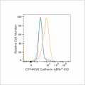 ABflo® 450 Rabbit anti-Human CD144/VE Cadherin mAb (100 T)