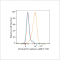 ABflo® 700 Rabbit anti-Human CD144/VE Cadherin mAb (100 T)