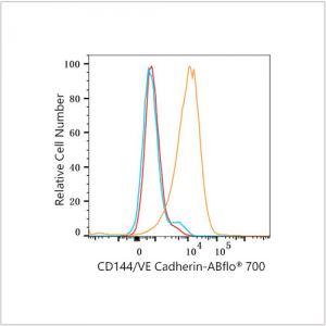 ABflo® 700 Rabbit anti-Human CD144/VE Cadherin mAb (100 T)