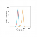 PE Rabbit anti-Human Flt3/CD135 mAb (100 T)