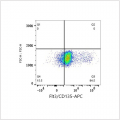 APC Rabbit anti-Human Flt3/CD135 mAb (100 T)