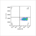 PE Rabbit anti-Human CD69 mAb (100 T)