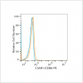 PE Rabbit anti-Human C5AR1/CD88 mAb (100 T)