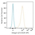 APC Rabbit anti-Human Integrin-β1/CD29 mAb (100 T)