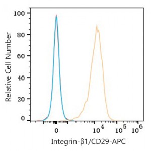 APC Rabbit anti-Human Integrin-β1/CD29 mAb (100 T)