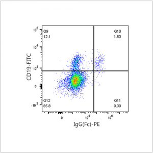 PE Rabbit anti-Human IgG (Fc) mAb (100 T)