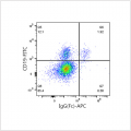 APC Rabbit anti-Human IgG (Fc) mAb (100 T)