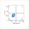 PE Rabbit anti-Human CD90/Thy1 mAb (100 T)