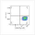APC Rabbit anti-Human CD90/Thy1 mAb (100 T)